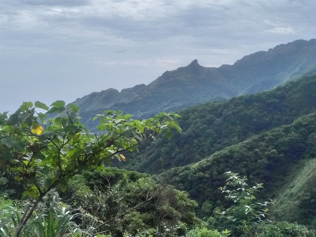 DSC_3369.JPG - 瑞芳  小金瓜山露頭