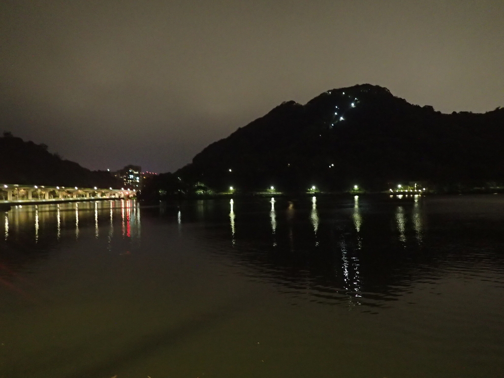 P3117010.JPG - 內湖  大湖公園之夜色