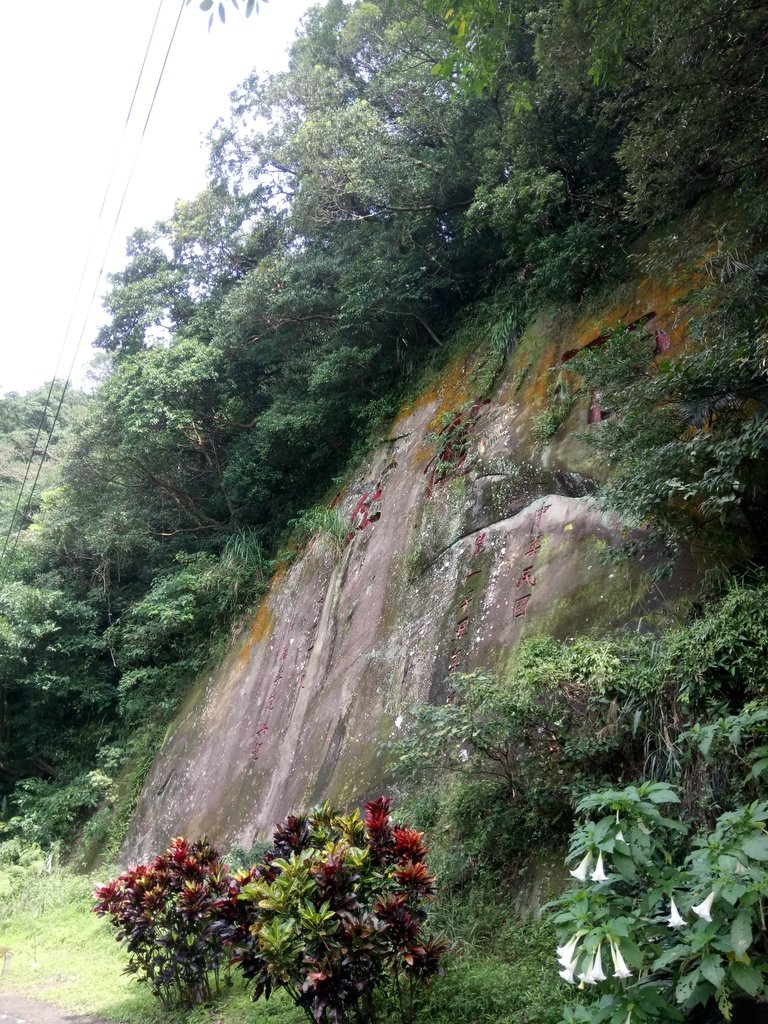 DSC_5300.JPG - 瑞芳  白象山(弘明山) 未竟