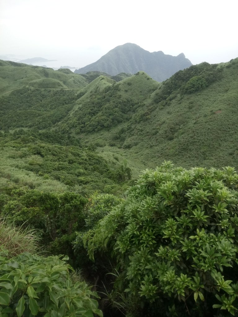 DSC_1488.JPG - 再登---  瑞芳  燦光寮山