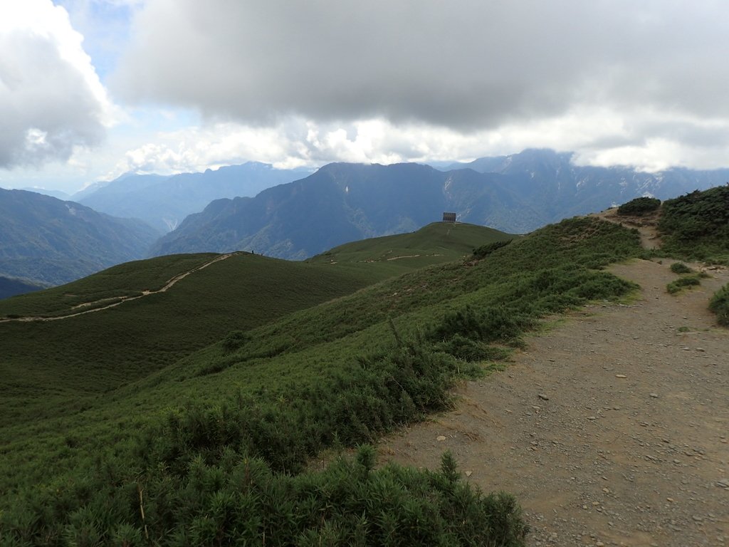 P7246001.JPG - 合歡山  北峰之美  (中)