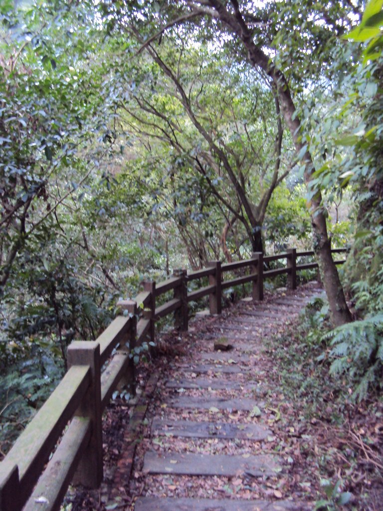 DSC03337.JPG - 瑞芳  粗坑口登山步道