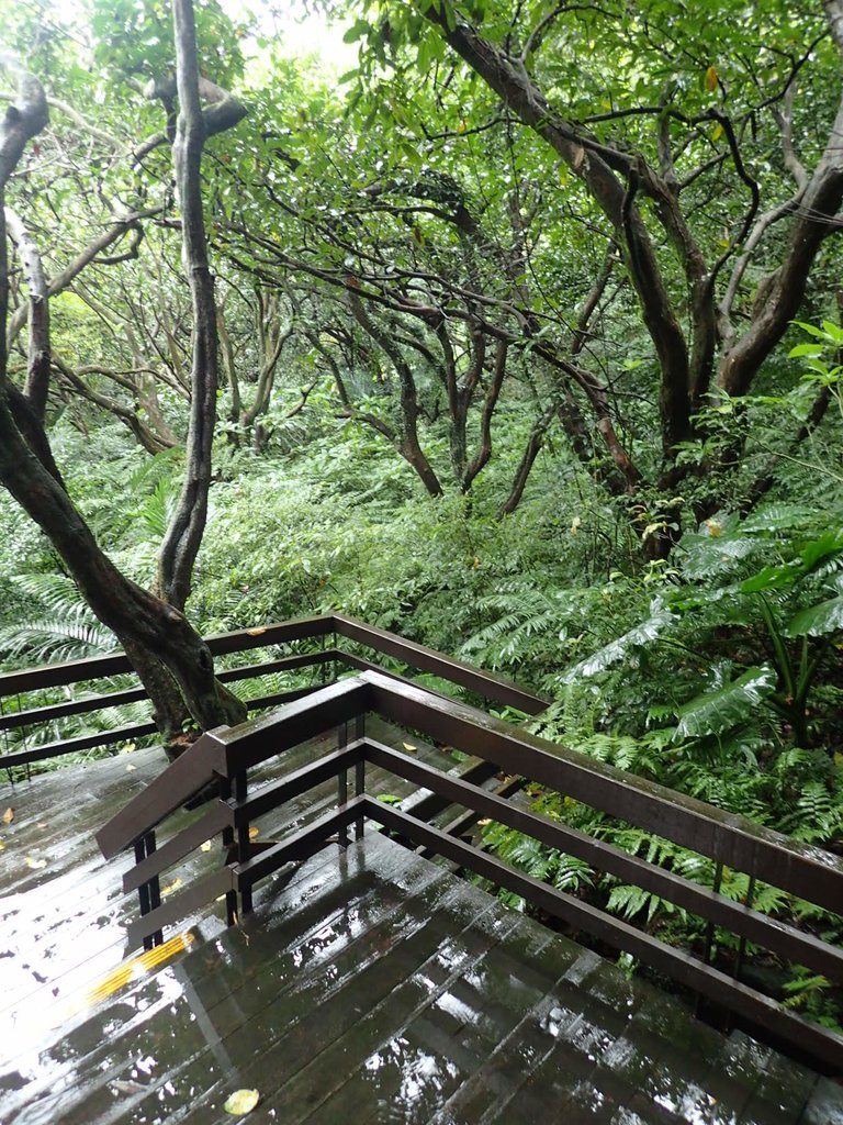 P1062080.JPG - 土城  天上山  登山步道