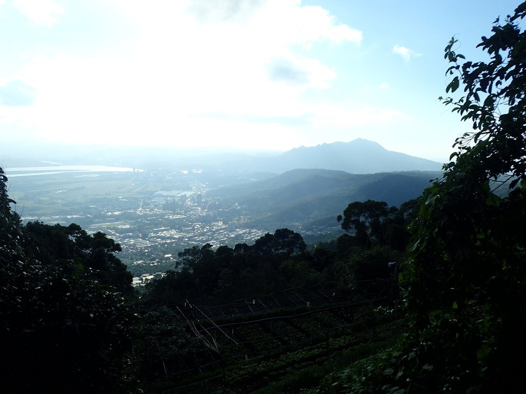 PB247289.JPG - 北投  中正山登山步道 01