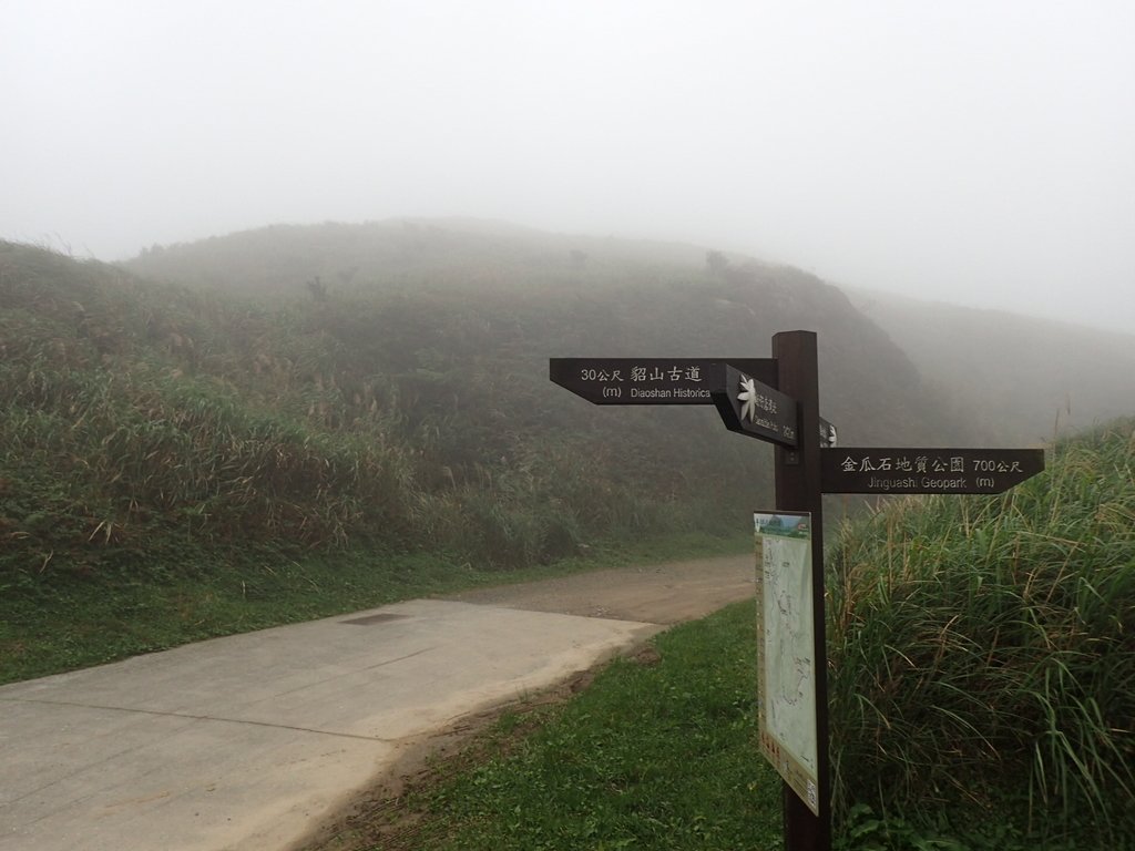 P1203419.JPG - 瑞芳  牡丹山