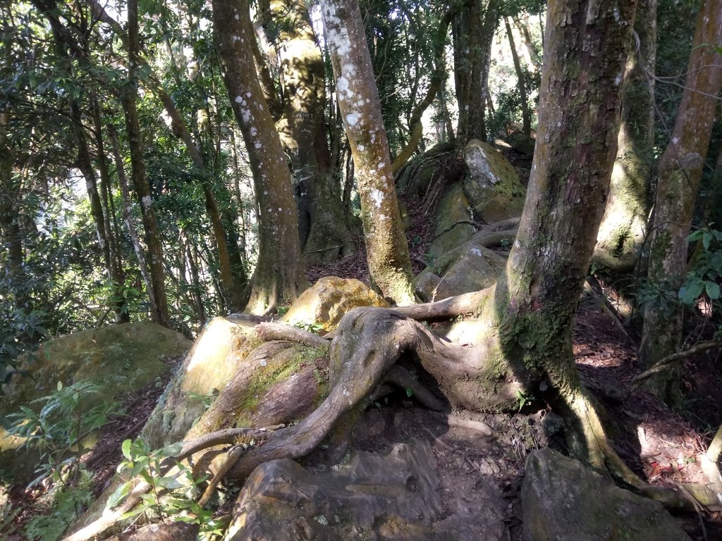 DSC_4799.JPG - 獅潭  仙山