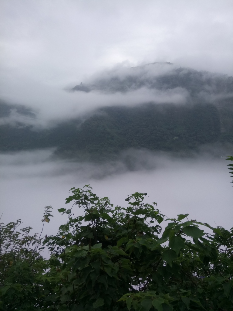 DSC_1136.JPG - 古坑  草嶺  雲山繚繞