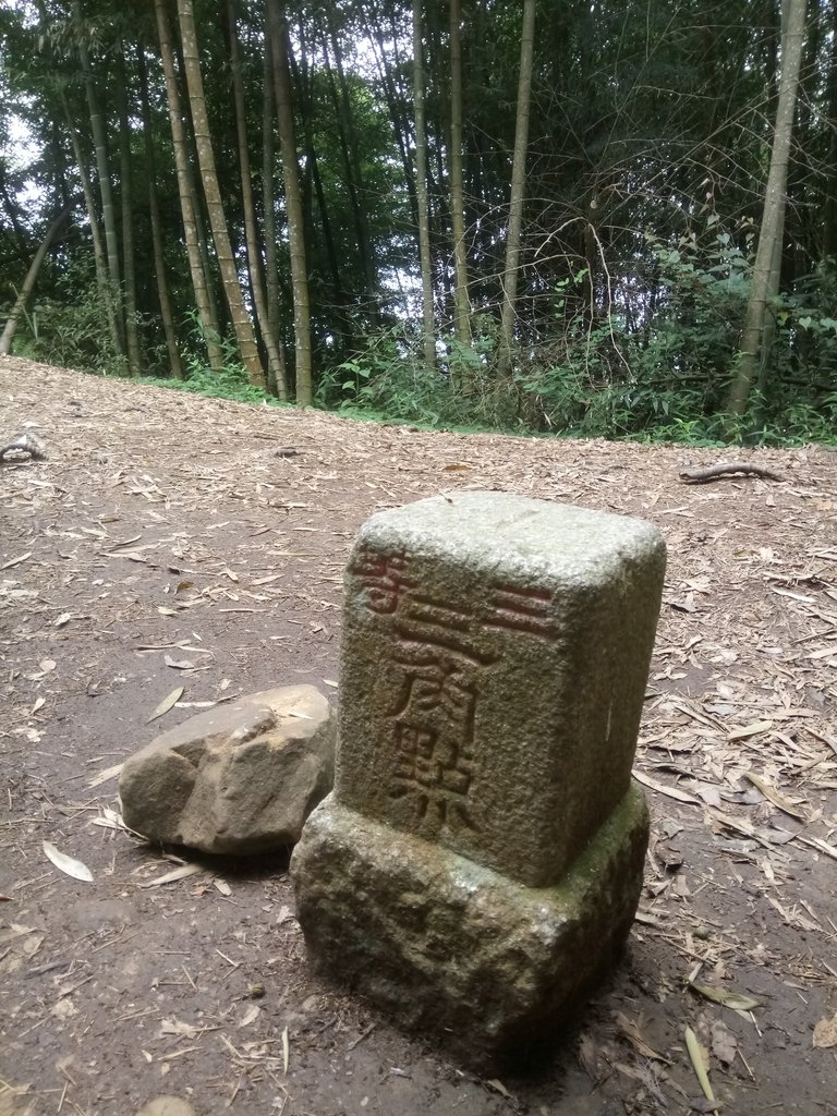 DSC_1255.JPG - 石壁山  嘉南雲峰步道