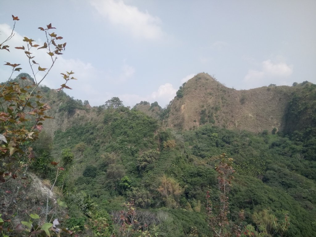 DSC_7331.JPG - 草屯平林  九九峰森林步道