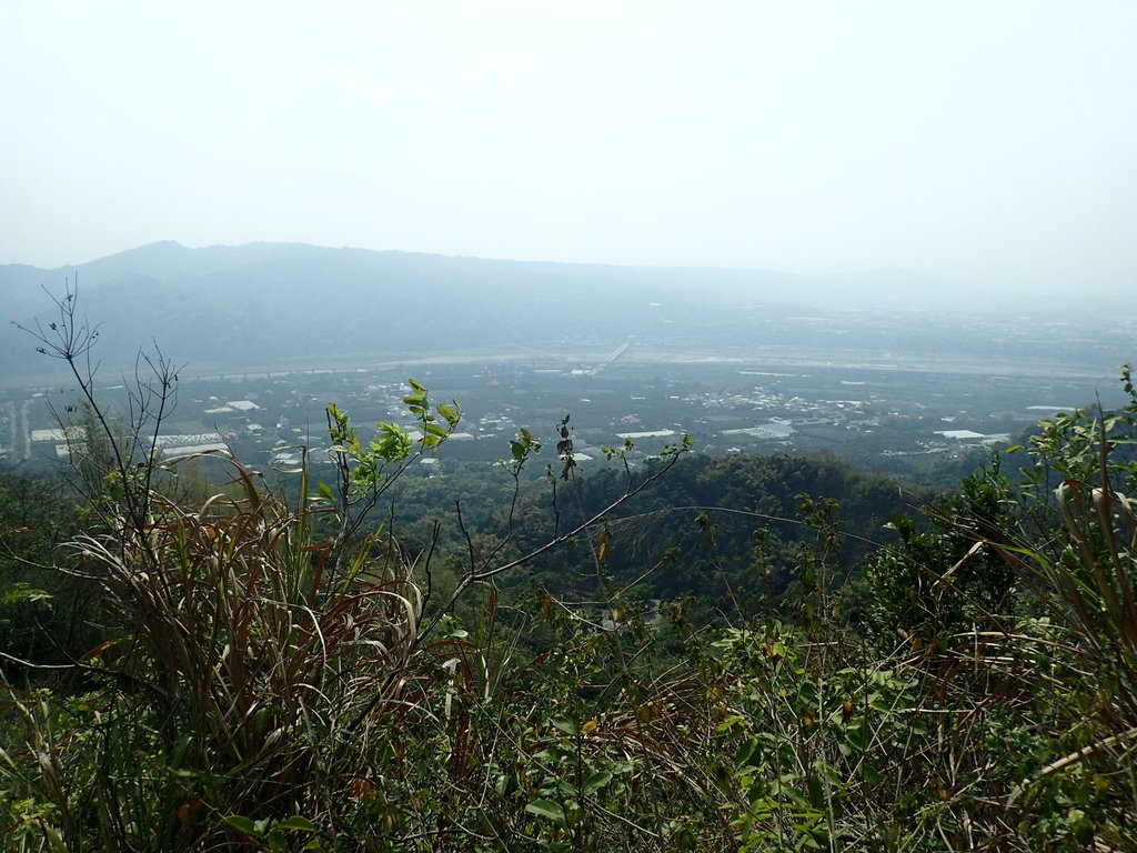 P3016058.JPG - 草屯平林  九九峰森林步道