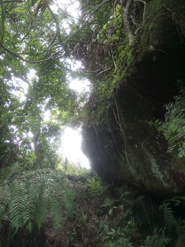 DSC_3424.JPG - 瑞芳  三貂嶺山  三貂大崙