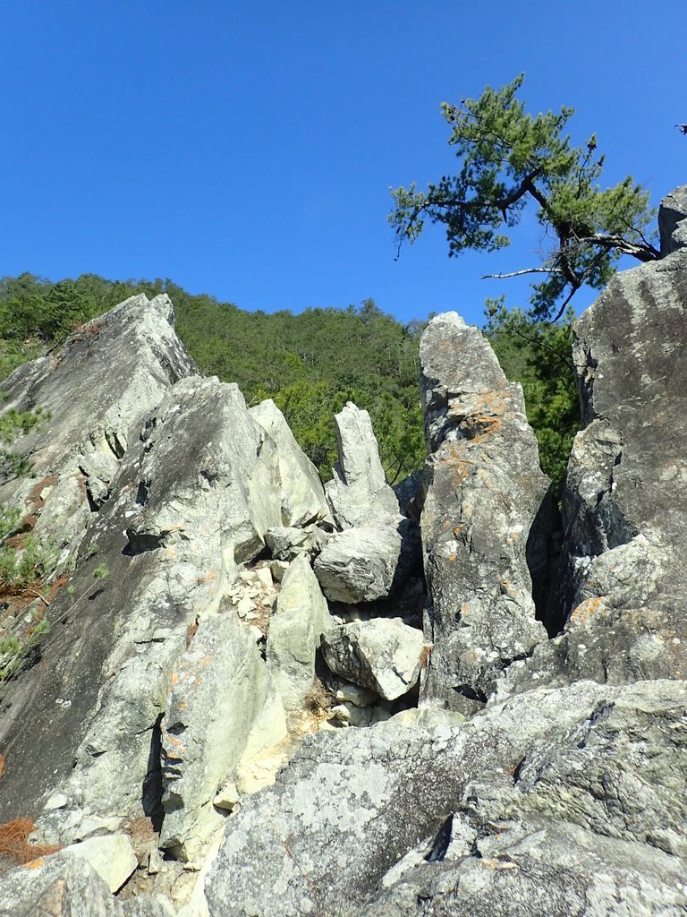 P3167218.JPG - 谷關  東卯山東南稜