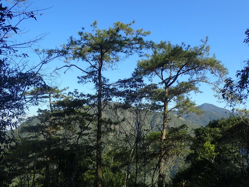 P2275881.JPG - 谷關七雄之  唐麻丹山