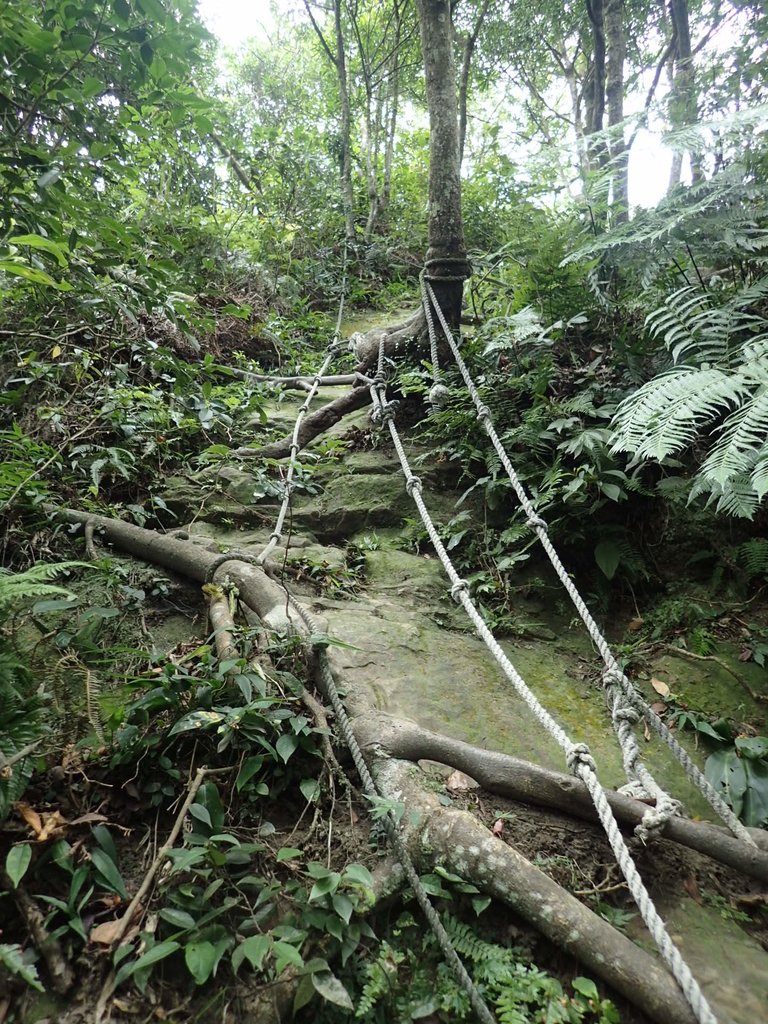 P7025043.JPG - 大溪  金面山登山步道