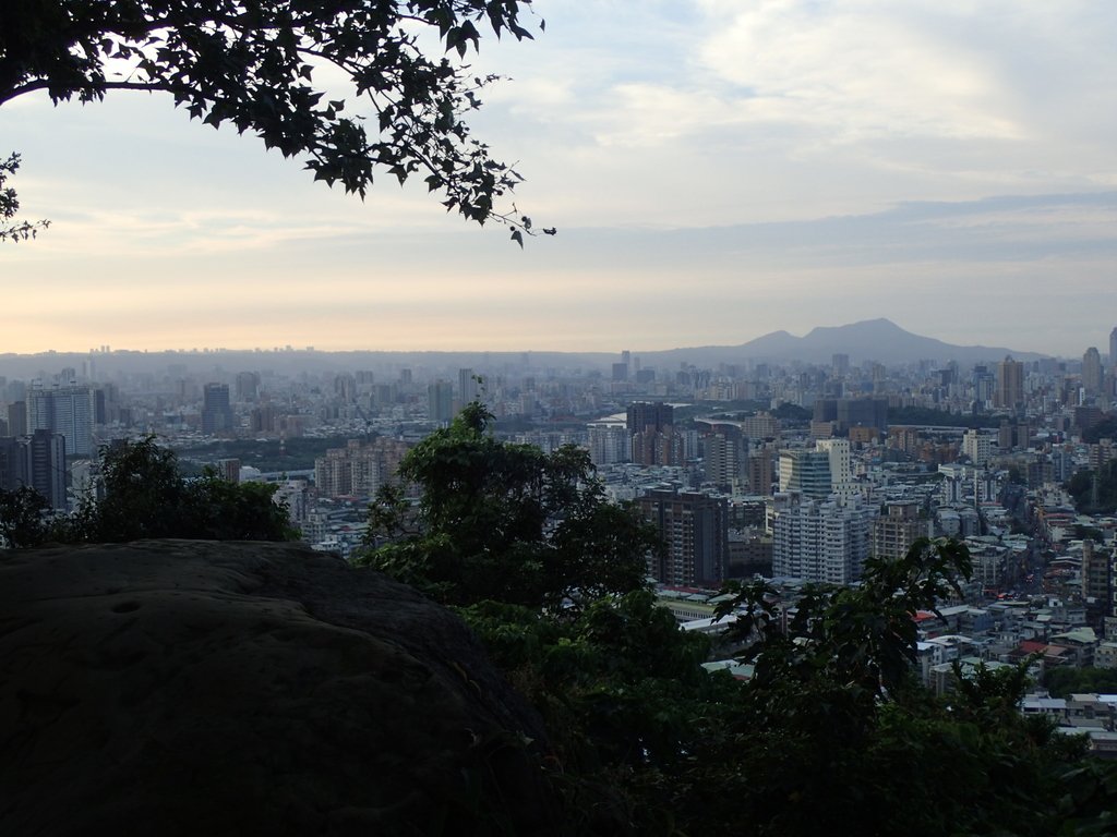 P9230023.JPG - 景美  仙跡岩親山步道