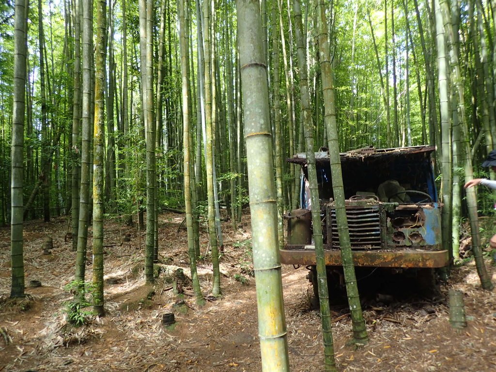 P7235855.JPG - 台中和平  長壽山登山步道  (中)