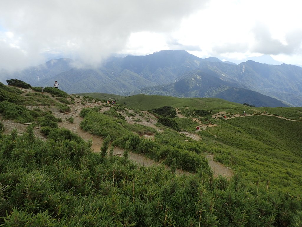 P7246003.JPG - 合歡山  北峰之美  (中)