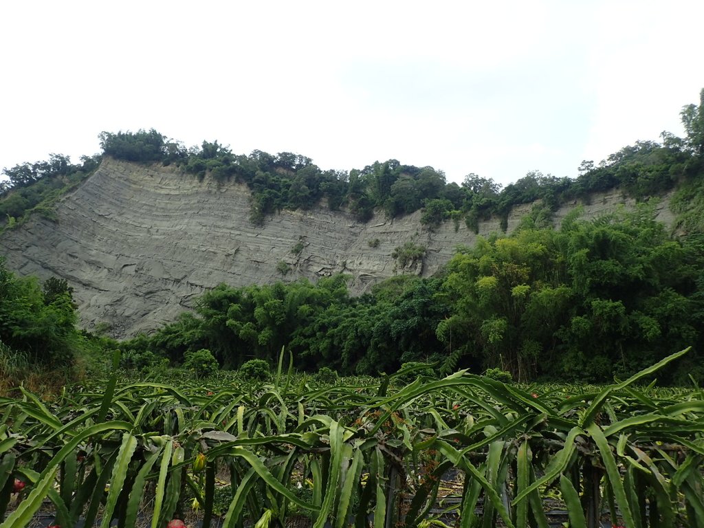 P6284989.JPG - 霧峰  烏溪北岸之  象鼻坑風光