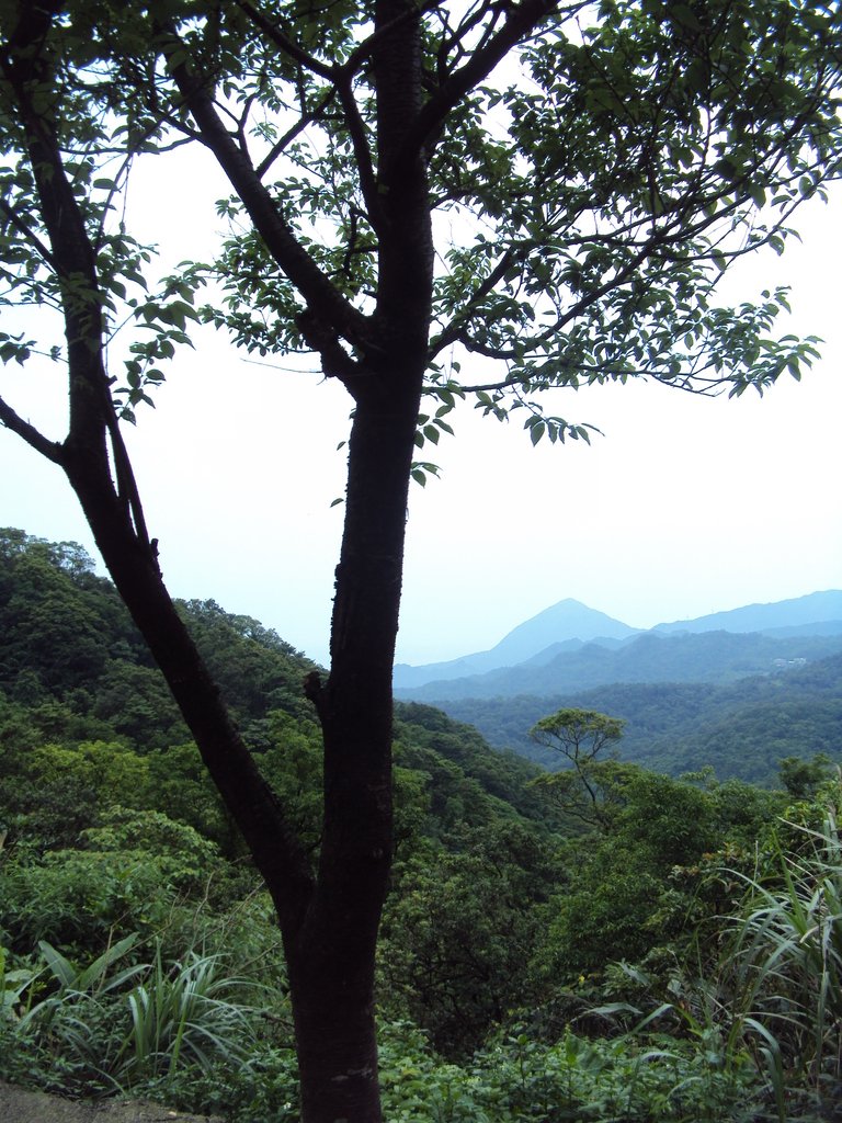 DSC07611.JPG - 瑞芳  粗坑口登山步道