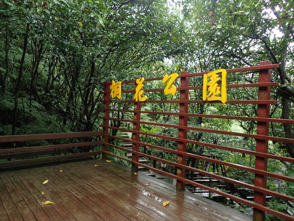 P1062081.JPG - 土城  天上山  登山步道