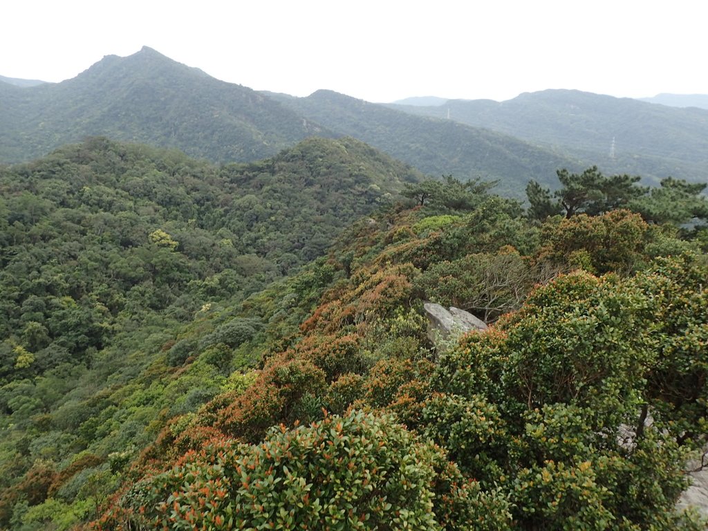 P3160083.JPG - 汐止  柯子林山  如意湖