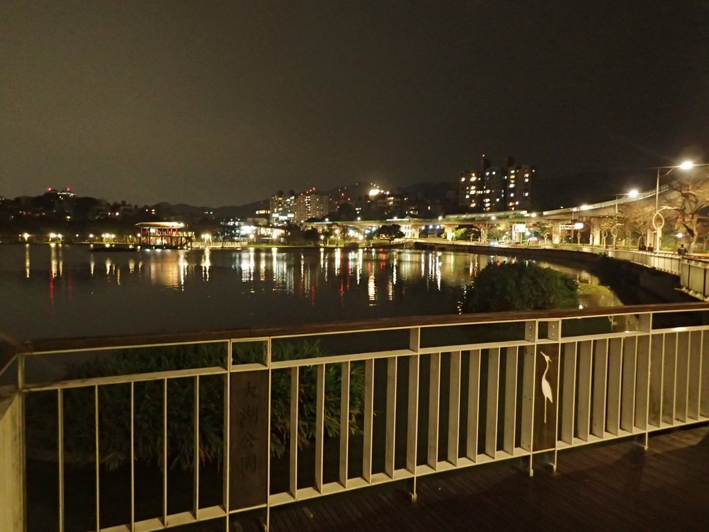 P3117029.JPG - 內湖  大湖公園之夜色