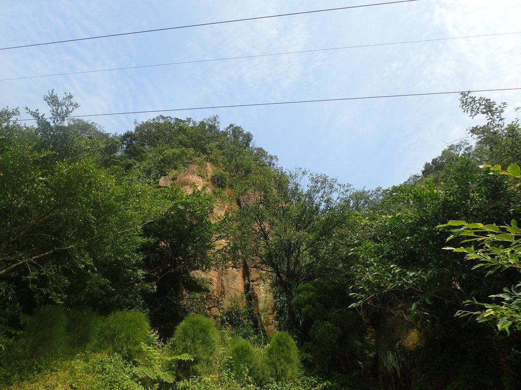 P2145349.JPG - 瑞芳  白象山(弘明山) 未竟