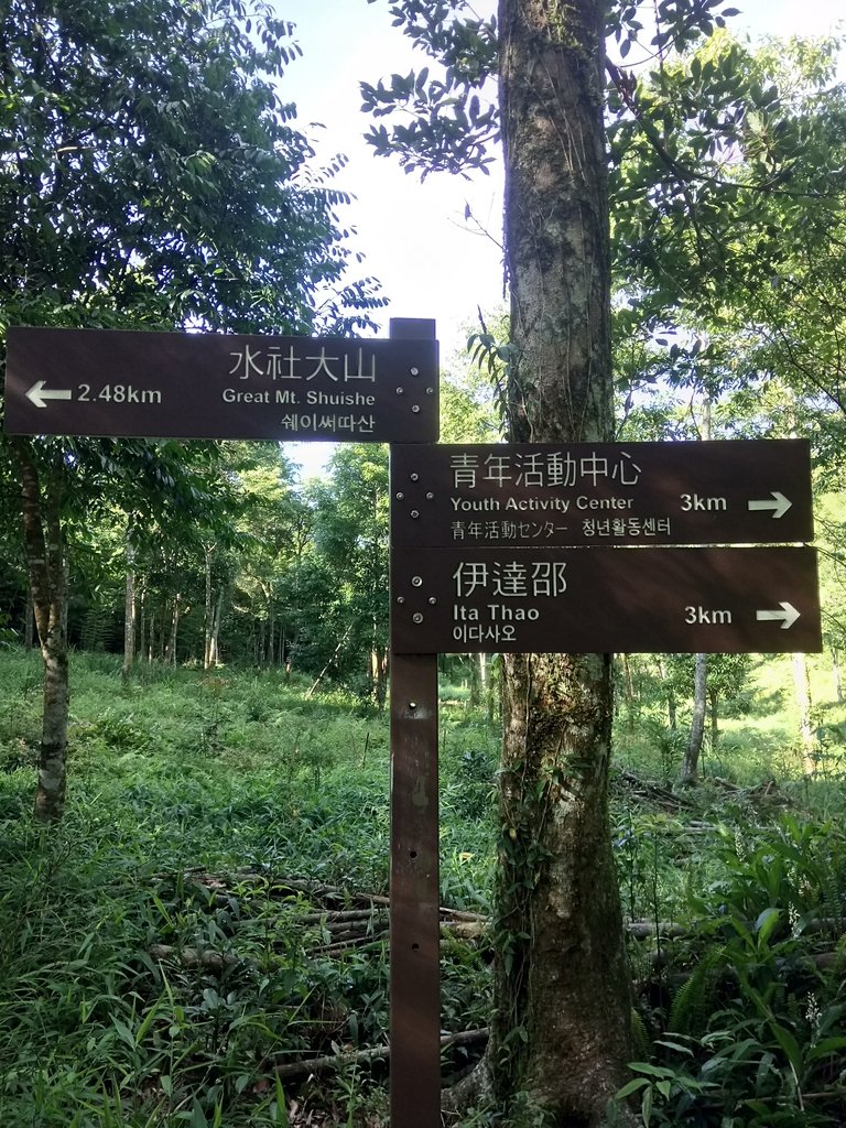 DSC_3743.JPG - 魚池  水社大山