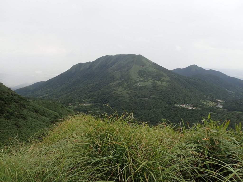 P7165525.JPG - 小觀音山  西峰登山步道