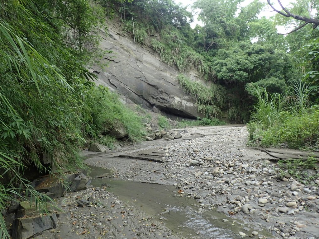 P6284991.JPG - 霧峰  烏溪北岸之  象鼻坑風光