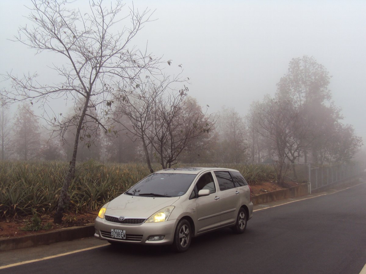 DSC07703.JPG - 南投  永興  晨霧山林