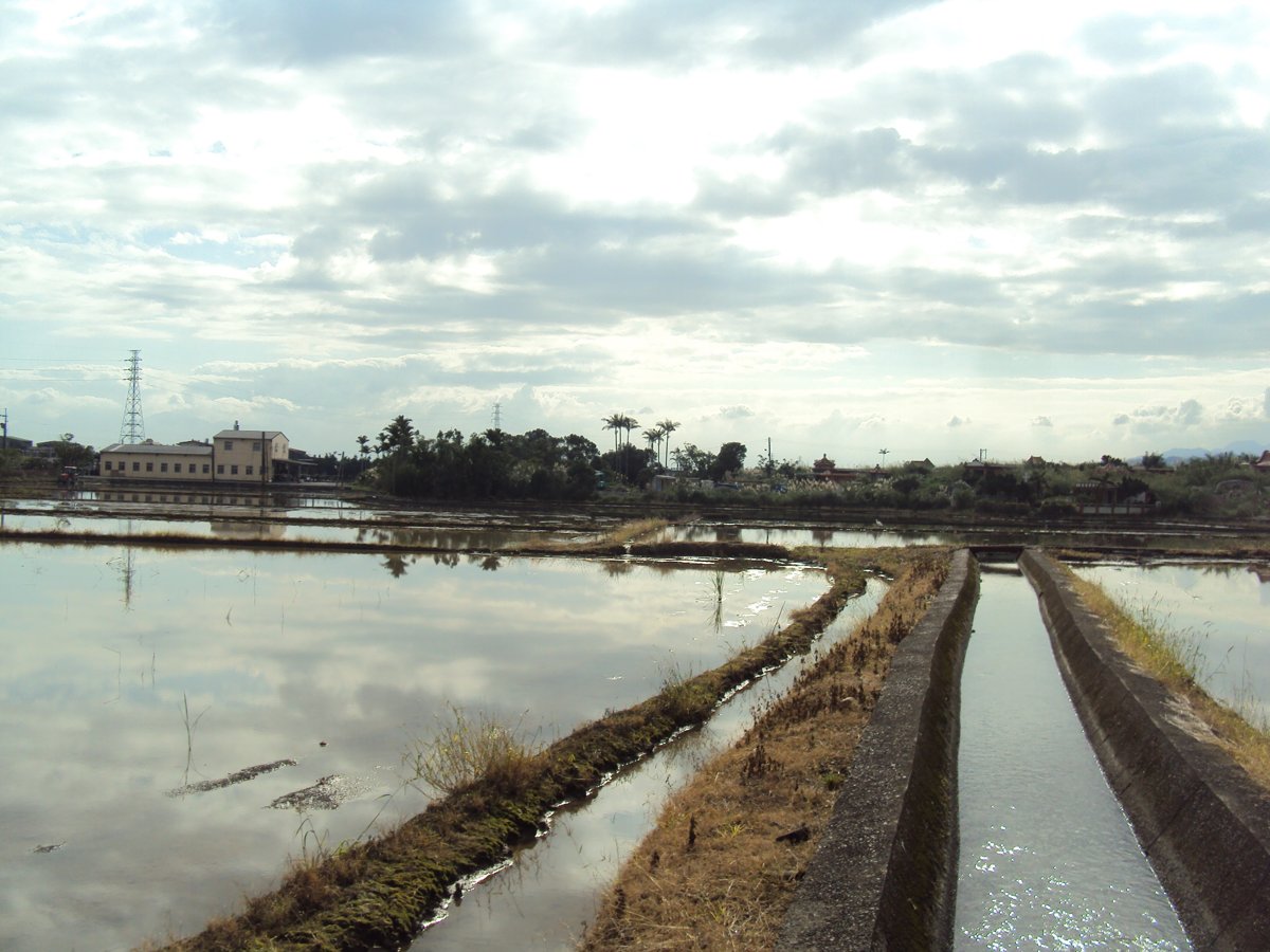 DSC03926.JPG - 頭城地區的水田景色