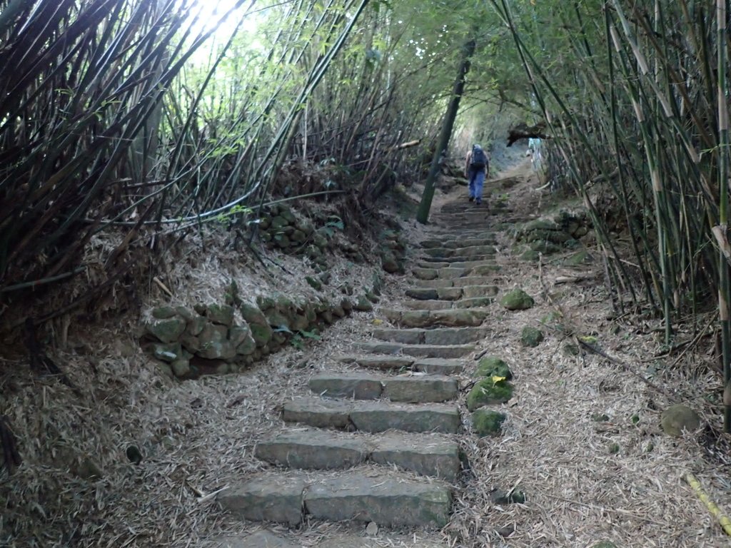 P9238161.JPG - 北投  面天山  向天湖步道