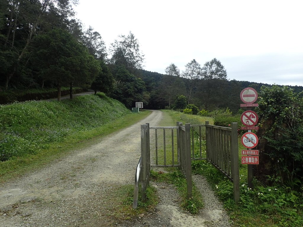 PB257661.JPG - 復興  東滿步道