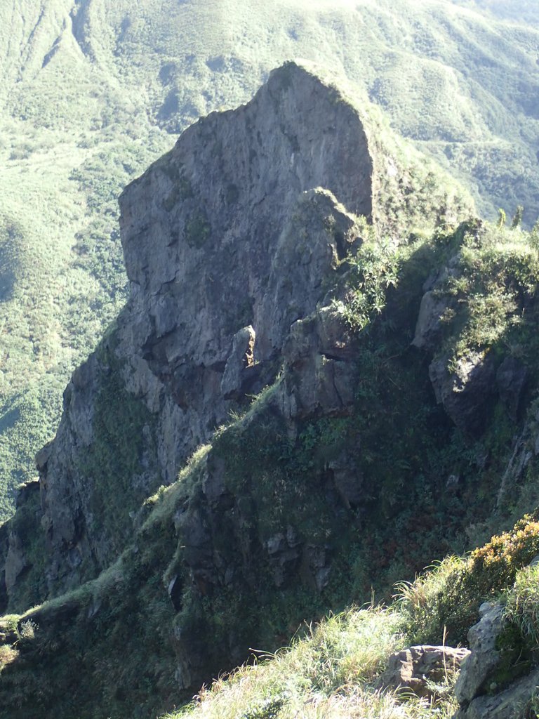 P1102325.JPG - 半坪山  無耳茶壺山