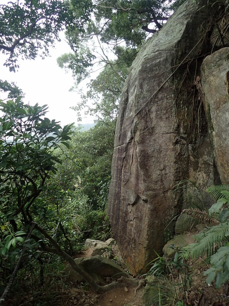 P1122687.JPG - 大直圓山風景區  劍潭山