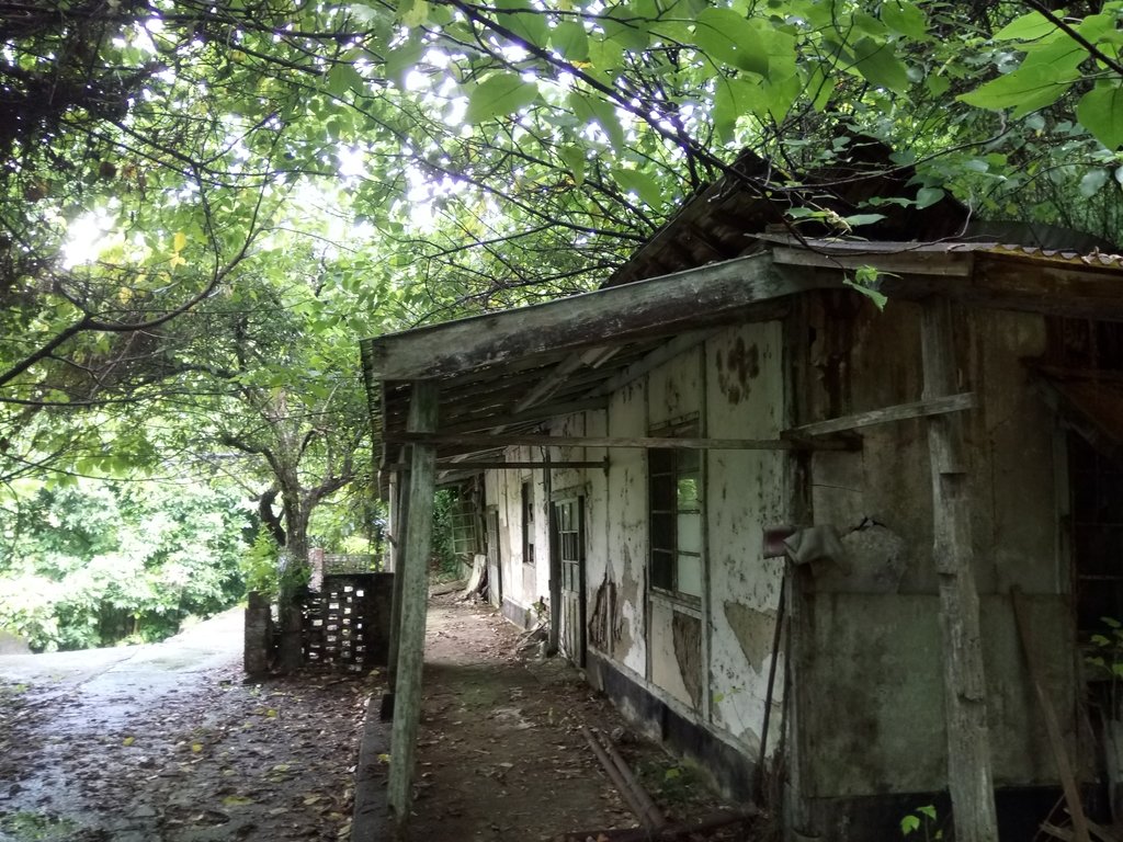 DSC_9619.JPG - 公館  出礦坑登山步道