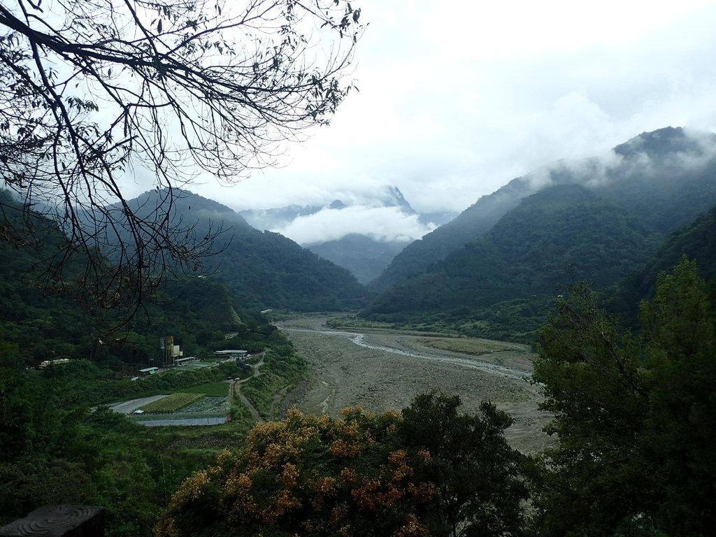 PA231645.JPG - 草嶺  茄苳步道  峭壁雄風
