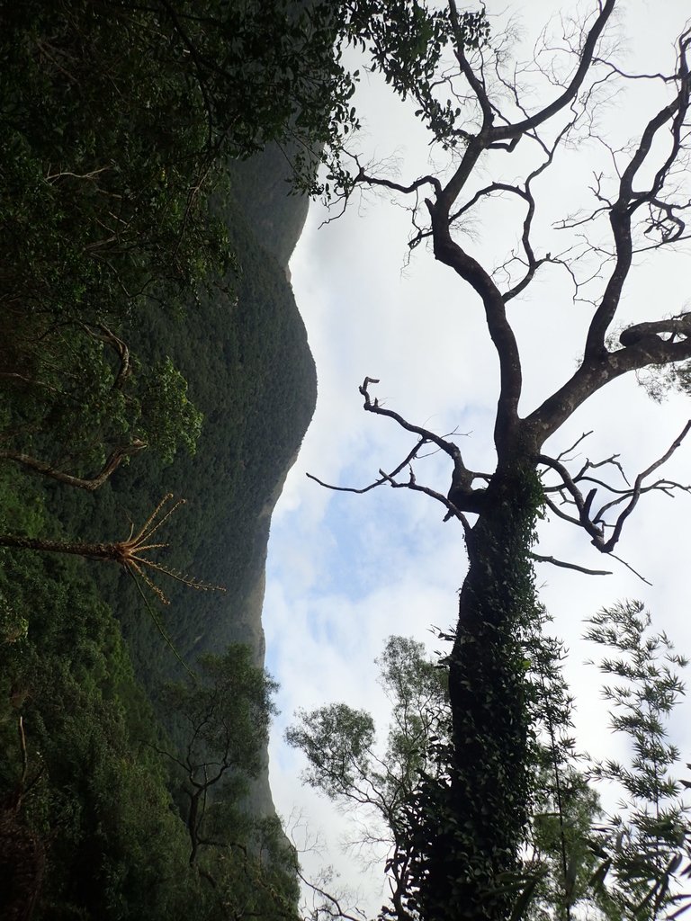 PB158998.JPG - 礁溪  聖母登山步道  (抹茶山)