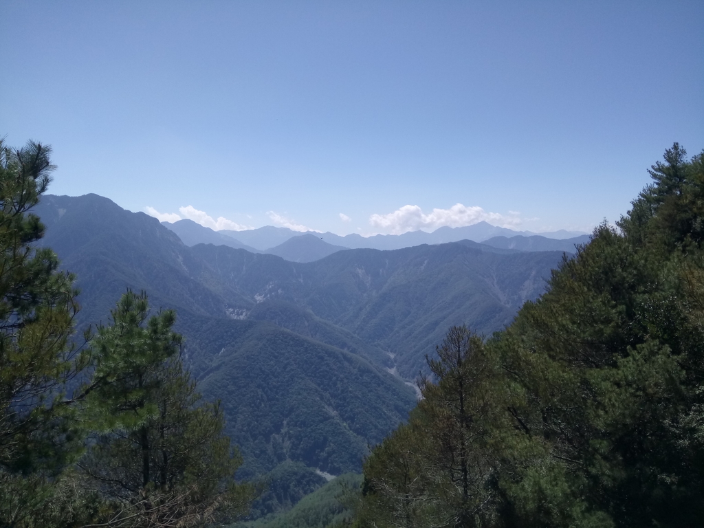 DSC_1693.JPG - 鹿林山  麟趾山步道  (02)