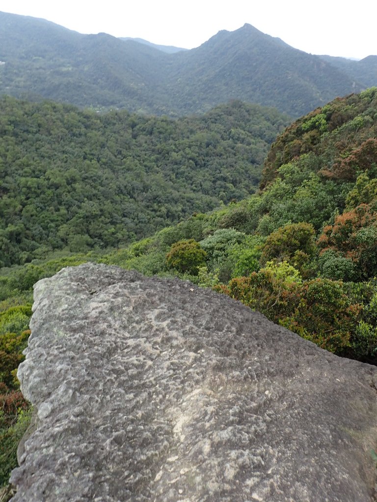 P3160087.JPG - 汐止  柯子林山  如意湖