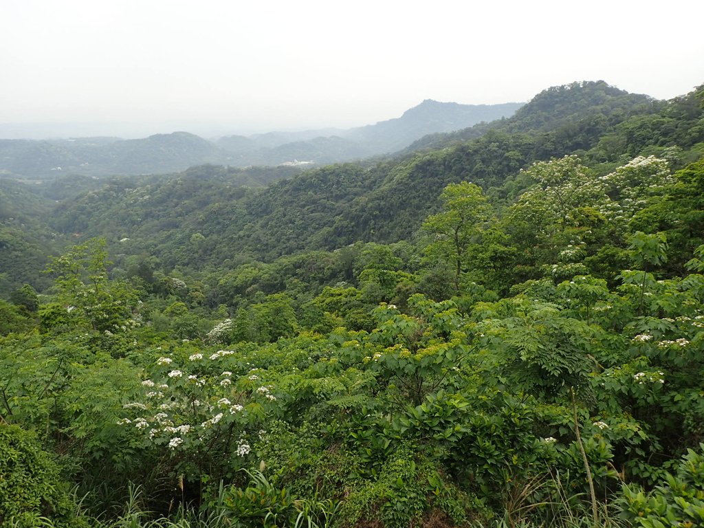 P4191868.JPG - 南庄  細湖頂  晴園山莊