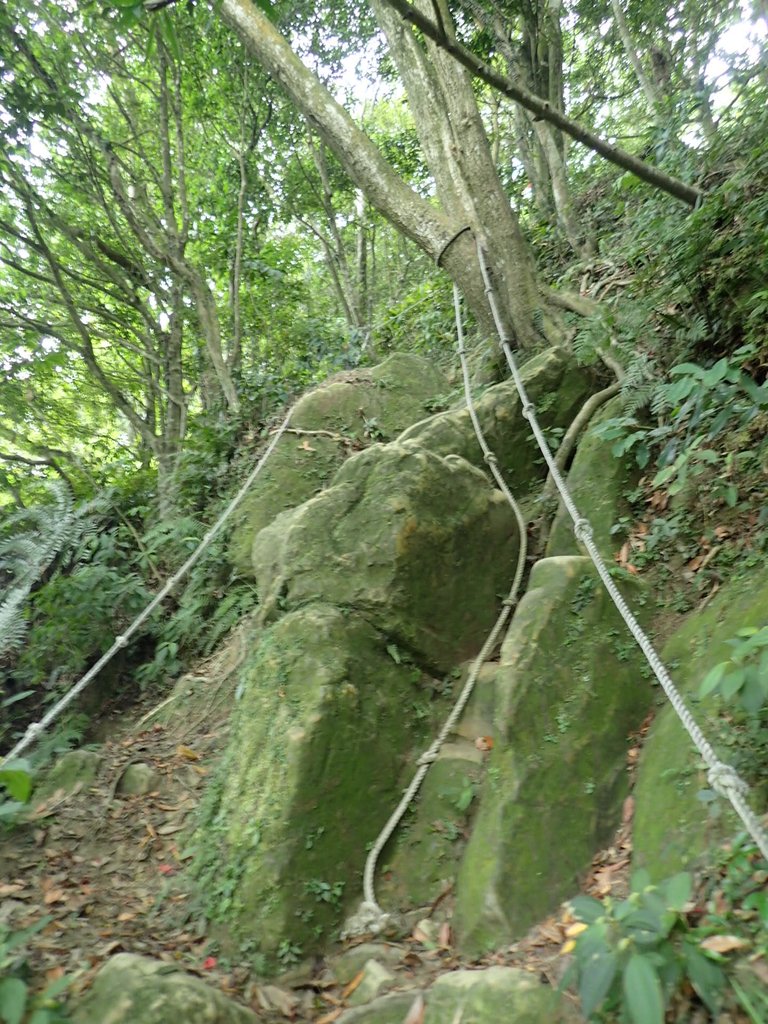 P7025045.JPG - 大溪  金面山登山步道