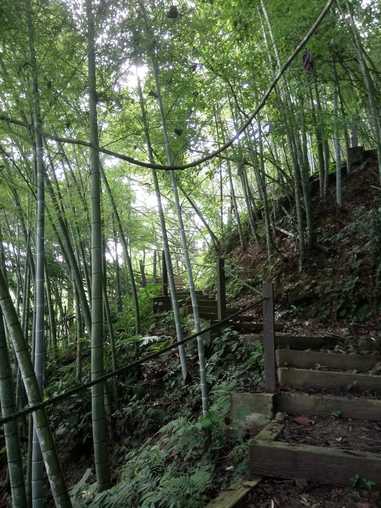 DSC_0176.JPG - 魚池  頭社  後尖山步道