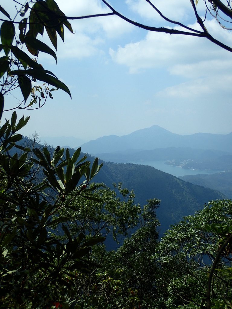 PA040455.JPG - 魚池  大尖山登山步道