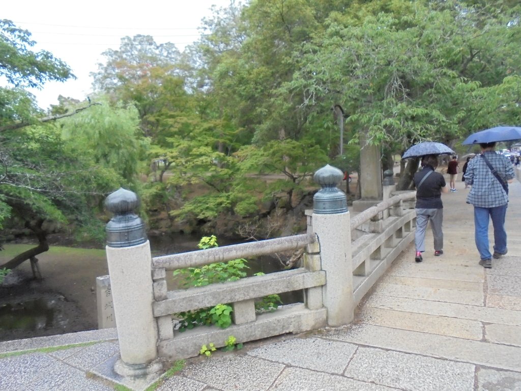 DSC03902.JPG - 奈良  東大寺