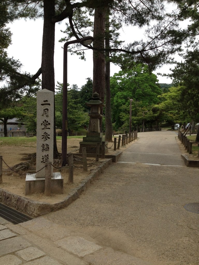 IMG_2573.JPG - 奈良  東大寺