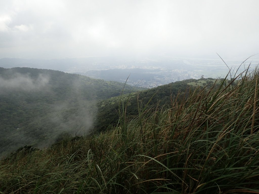 P9238258.JPG - 北投  面天山  向天湖步道