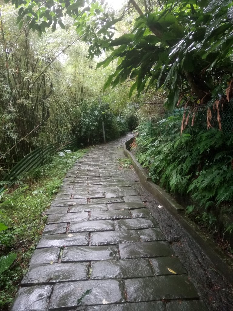 DSC_1712.JPG - 土城  天上山  登山步道