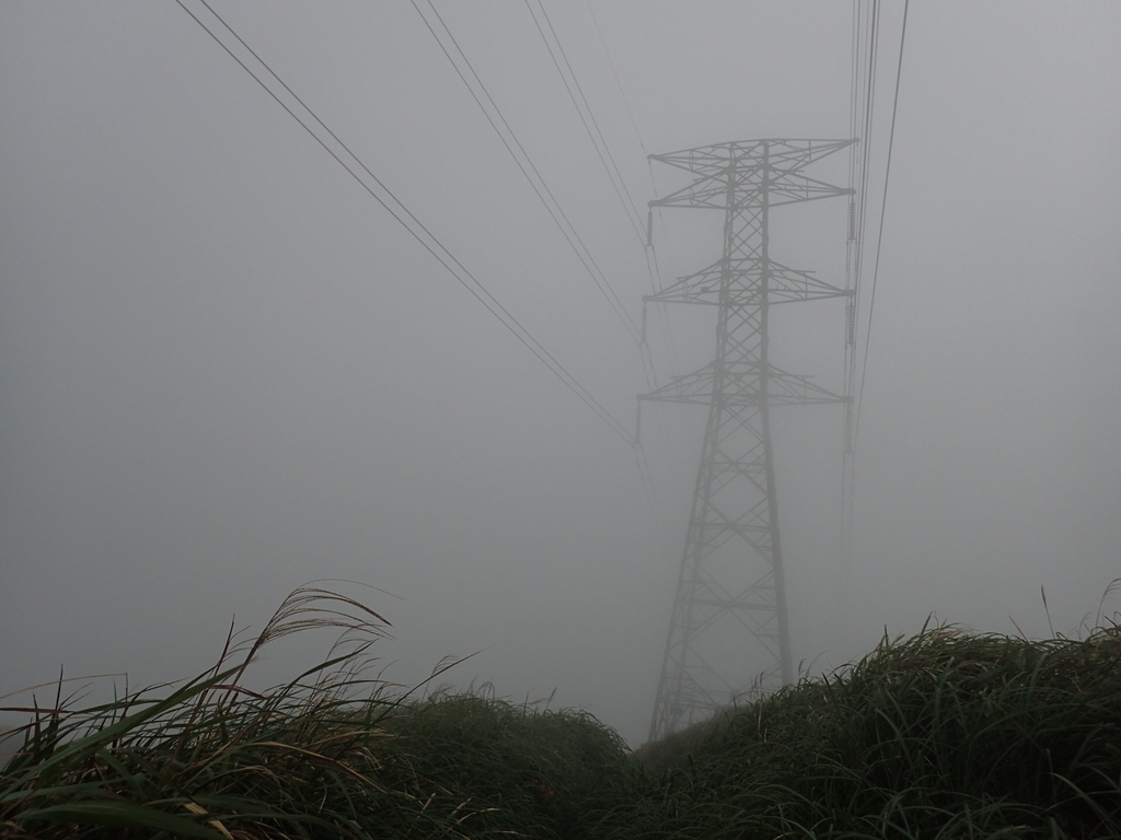 P1203444.JPG - 瑞芳  牡丹山